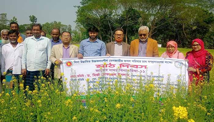 বরিশালে বিনা সরিষা-১১ আবাদে  কৃষকের আগ্রহ বাড়ানো হচ্ছে